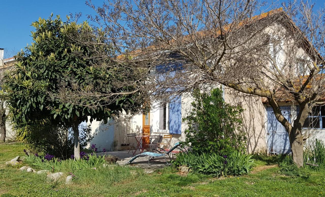 Petite Maison Refaite A Neuf Dans Mas Du 19Eme Siecle Arles Exterior foto